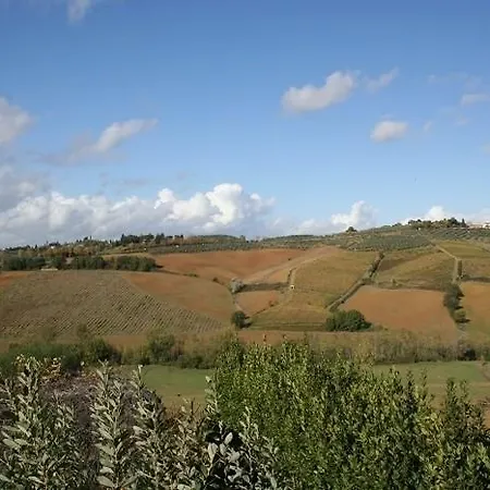 Villa Cesare *